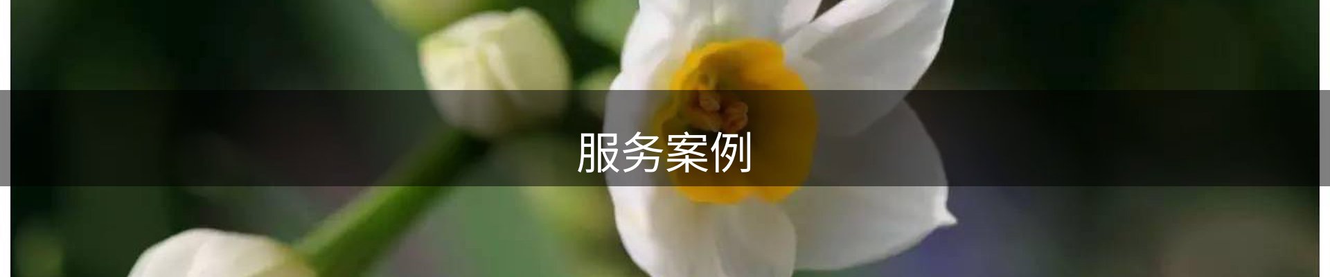 服务案例